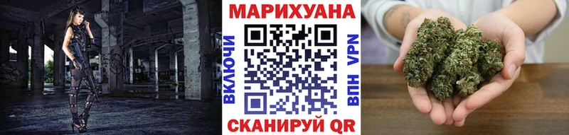 Купить где Гусев Бошки Шишки White Widow
